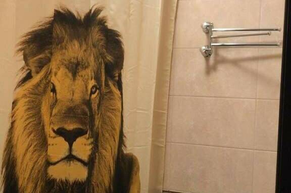 2-х местный с удобствами, с кондиционером