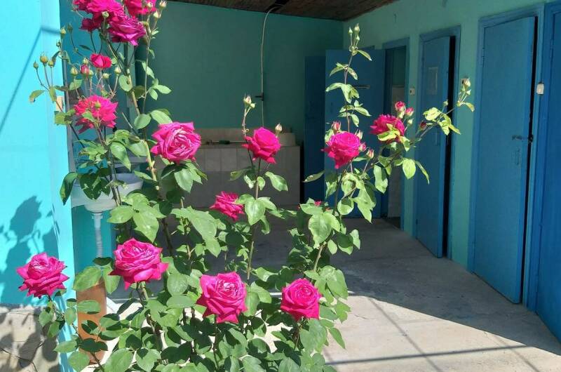 2-х местный «Эконом»