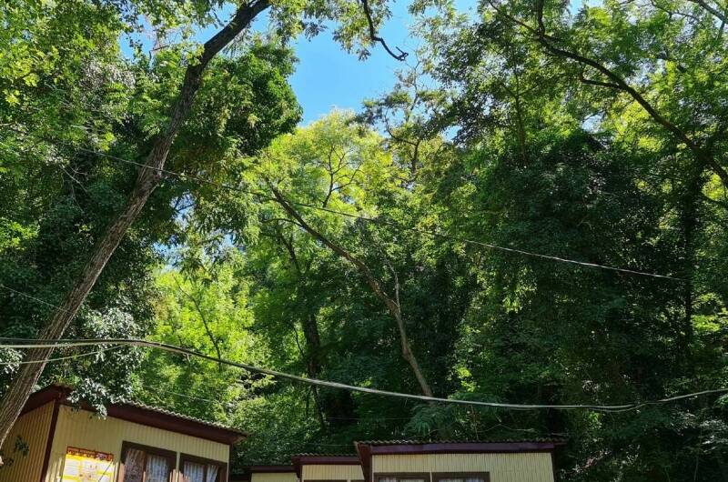 Домик 3-х местный «Море сосен»