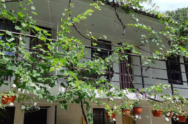 3-х местный «Эконом»