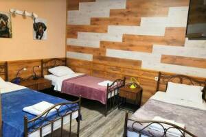 Изображение Изображение гостиницы "Гостевой дом «Белый Кот»" #1 #1