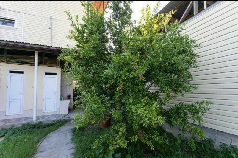 Трехместный номер с террасой