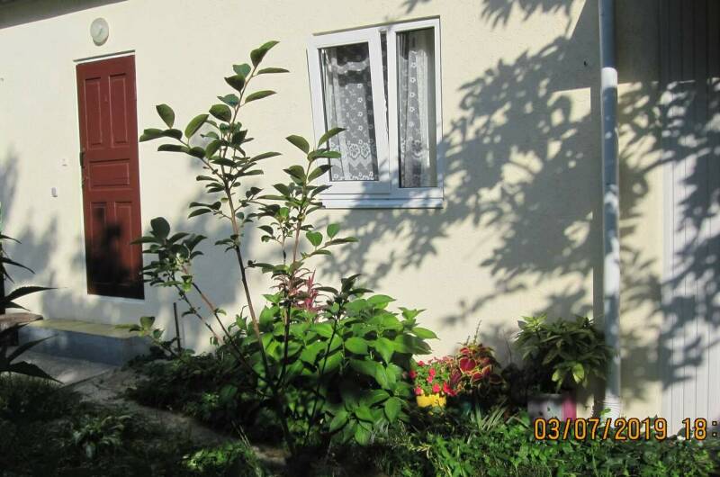 Трехместный номер -в отдельном домике