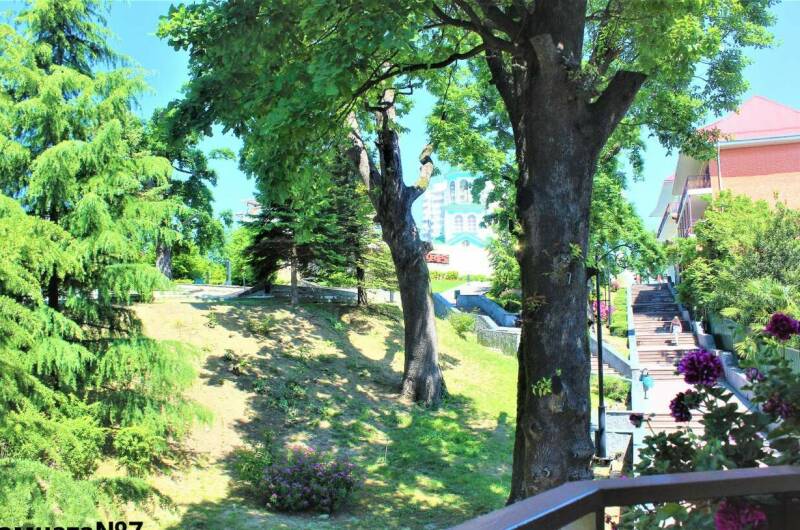 2-х местный «Стандарт» (№ 7)