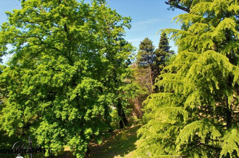 2-х местный «Стандарт» (№ 16)