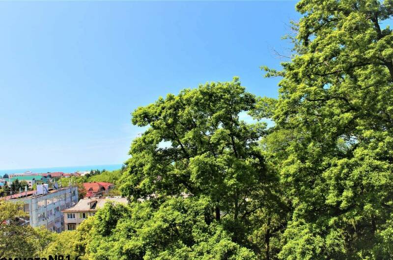 2-х местный «Стандарт» (№ 16)