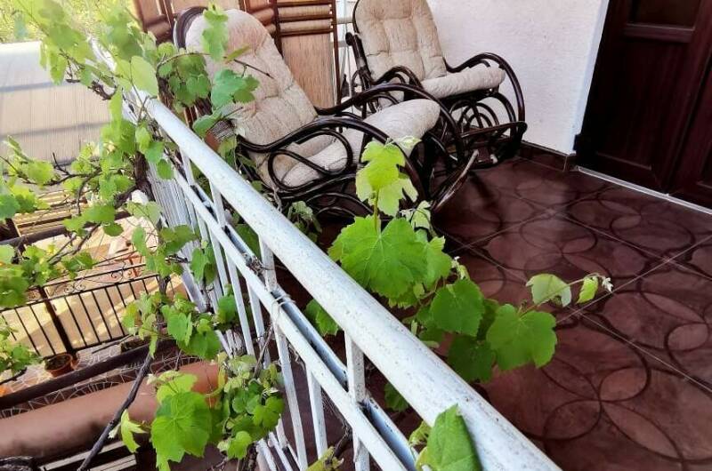 № 2 Двухместный номер