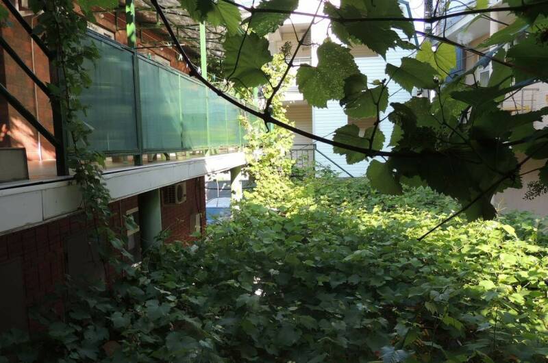 Семейный «Полулюкс»