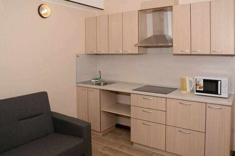 Апартаменты с 1 спальней и кухней