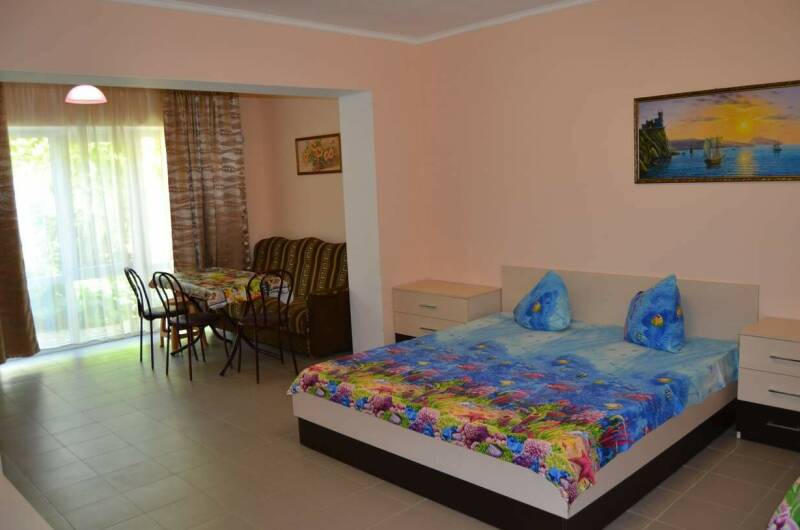 Большая студия с кухней и кондиционером (1-й этаж)