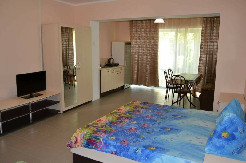 Большая студия с кухней и кондиционером (1-й этаж)