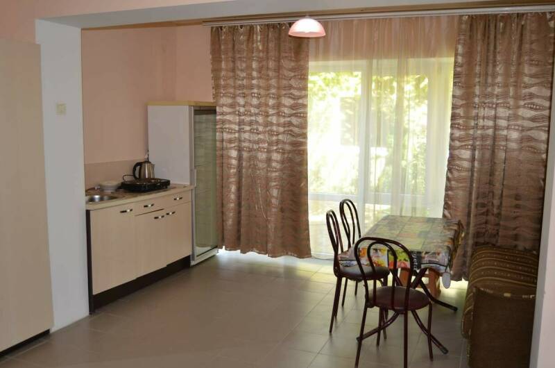 Большая студия с кухней и кондиционером (1-й этаж)