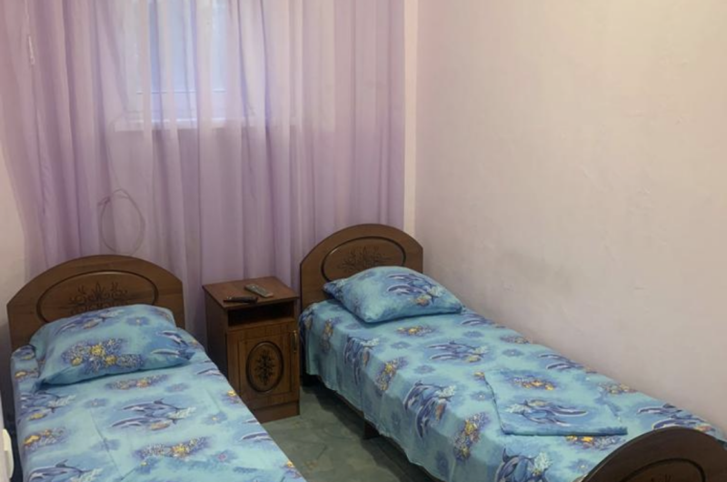 Эконом 2-х местный