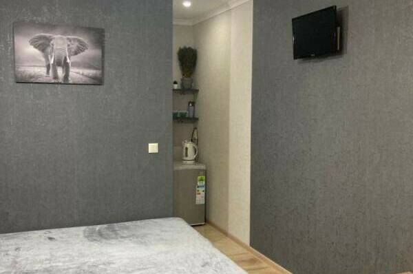 2−3-х местный номер «Комфорт» № 2