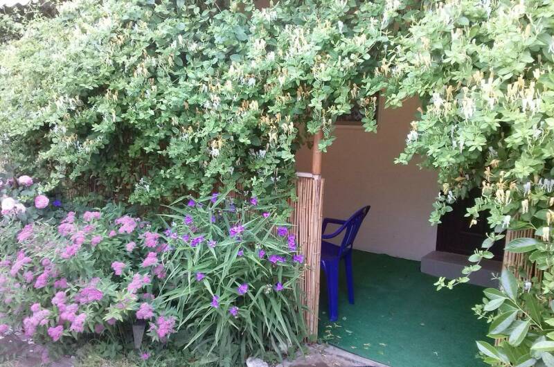 «Улучшенный»