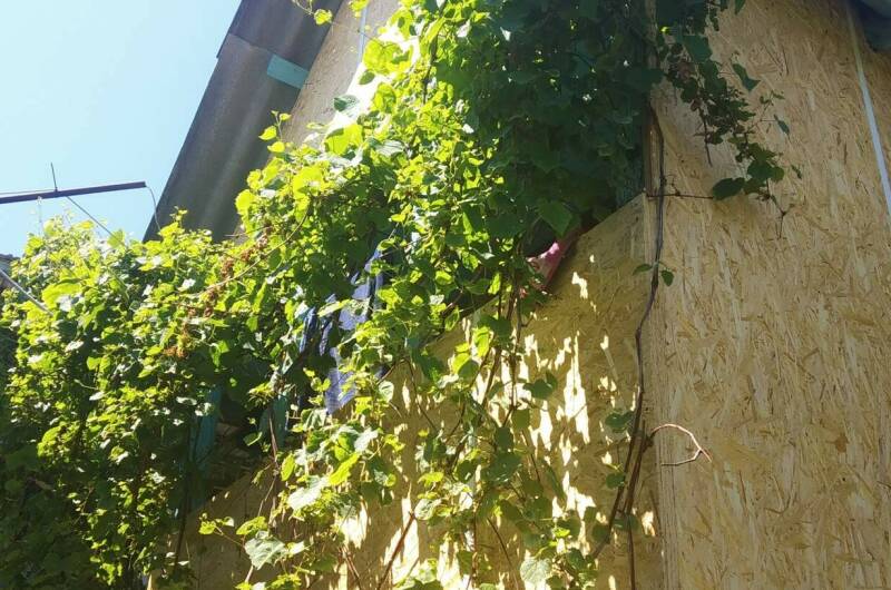 2-х местный «Эконом»