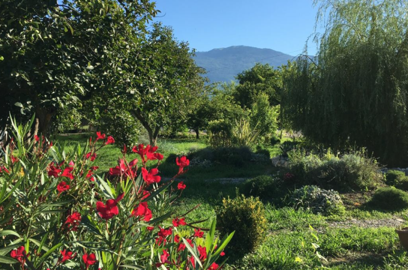 Двухместный номер