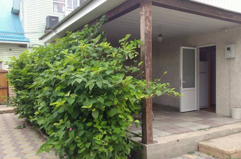 Домик с кухней