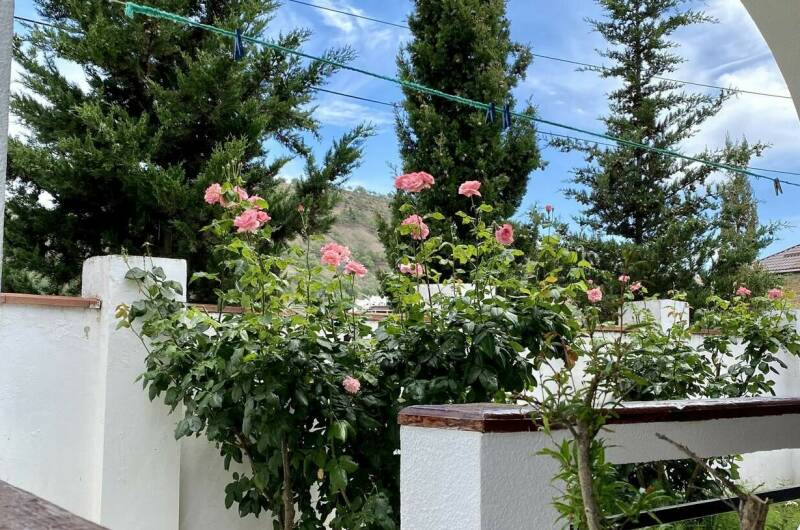 Номер 3-х местный «Комфорт»