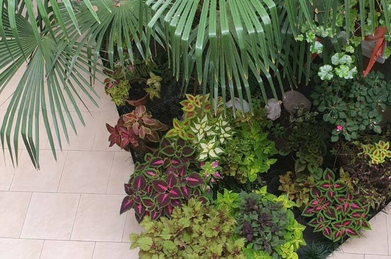 Номер 3хместный, улучшенный, условия на этаже