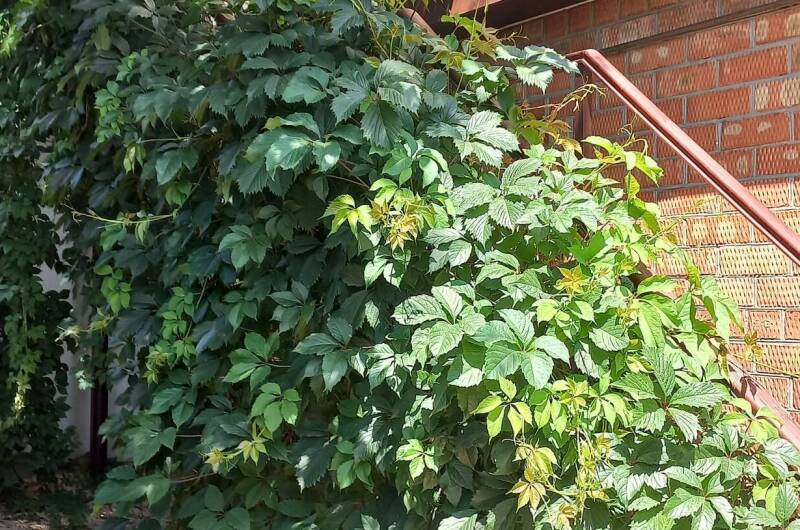 Двухкомнатный с кухней второй этаж