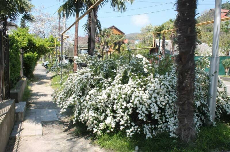 2-х местный «Стандарт»