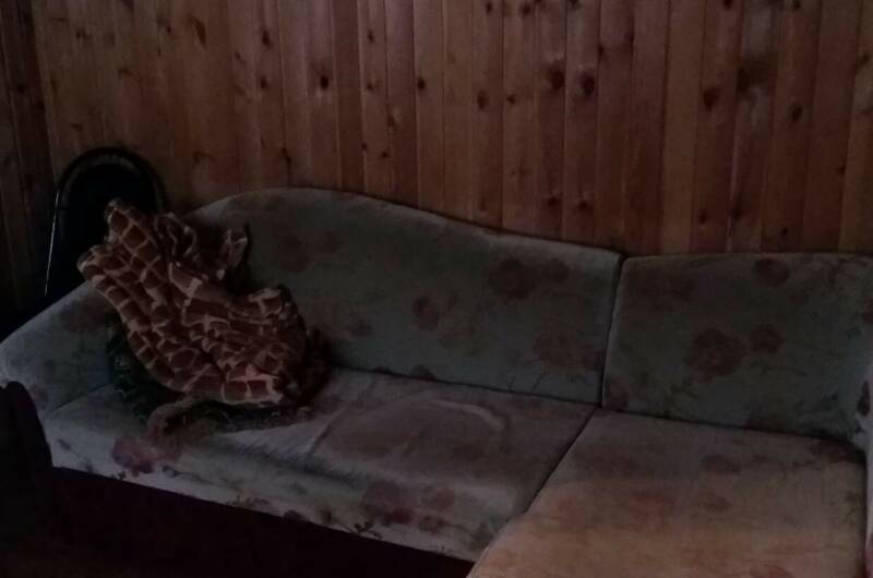 5-ти местный 2-х комнатный номер с кухней