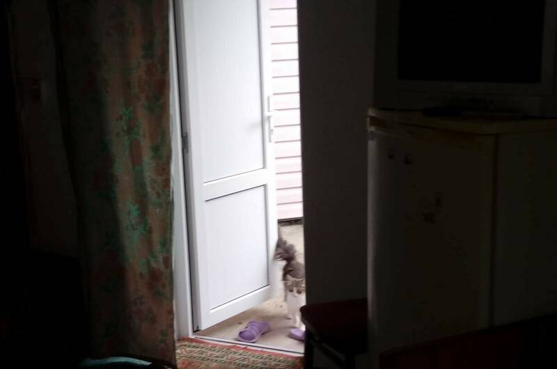 Домик «под ключ»