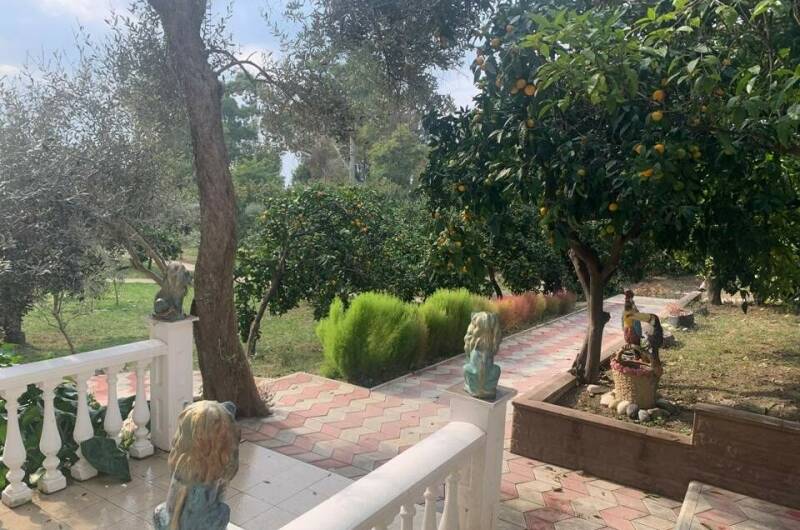 Улучшенный 3-местный в новом доме 2