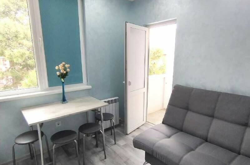 Евродвушка (комната с кухней-гостиной на 3 этаже)