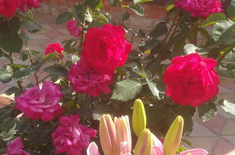 Двухкомнатный номер с отдельным входом и кухней