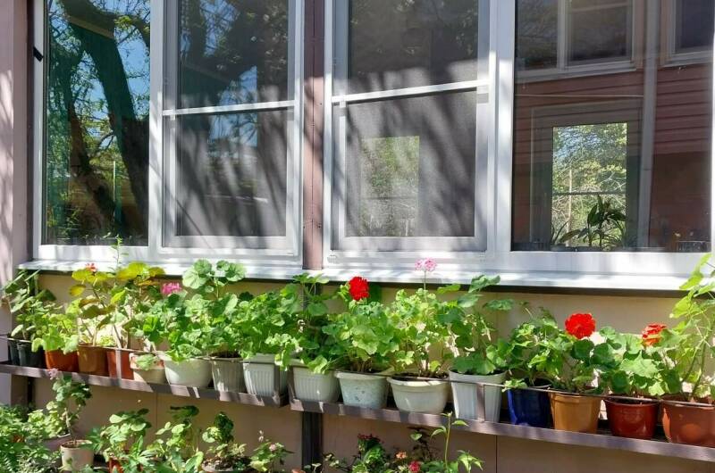 2-х комнатный домик на 5 человек c доп. местом