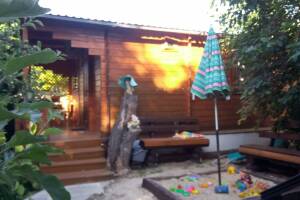 Изображение Изображение гостиницы "Гостевой дом «Лесная быль»" #5 #5