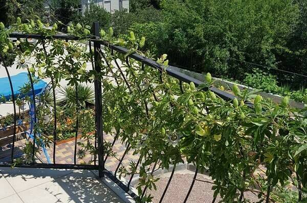 №-4 Стандарт, 2 этаж с видом на море