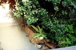 4-х местный номер «Семейный»