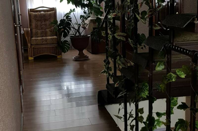 № 7 Двухместный номер