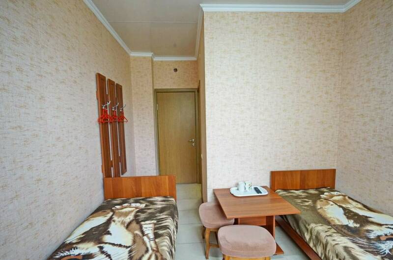 Двухместный мини