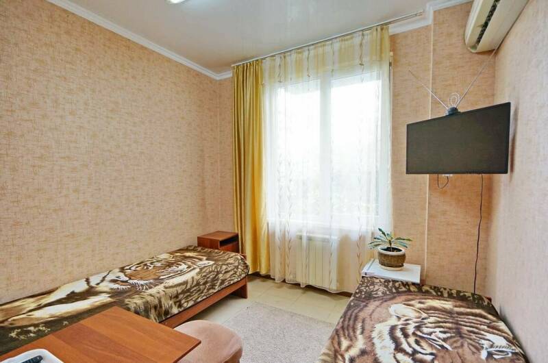 Двухместный мини