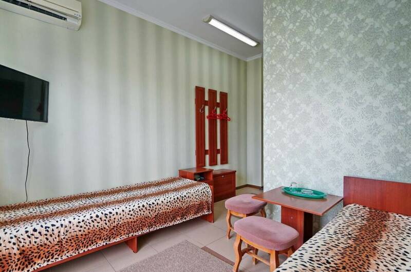 Двухместный мини