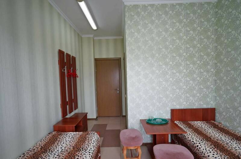 Двухместный мини