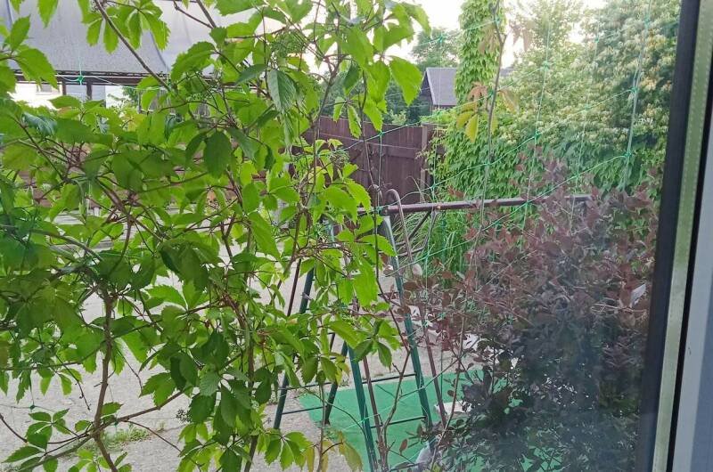 Двухместный «Эконом»