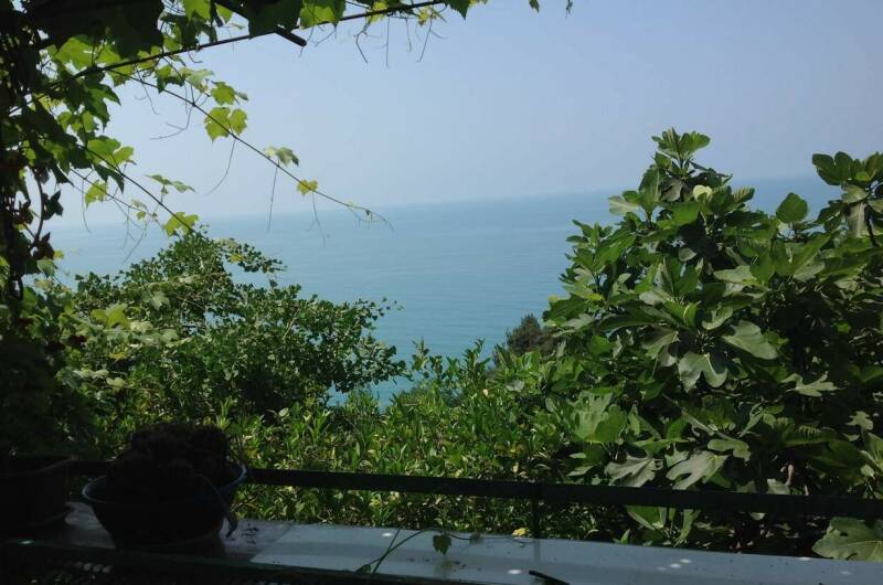 Двухместный номер «Стандарт»