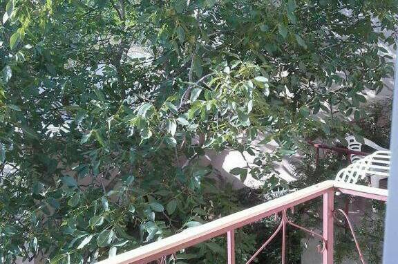 «Привал» (до 4 человек, включая детей)