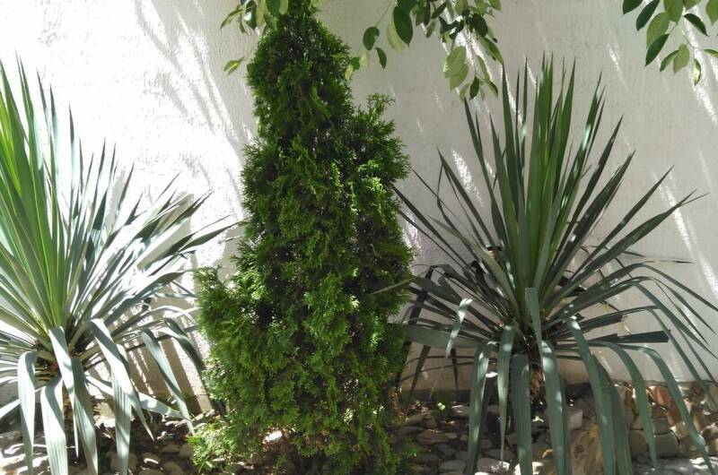 5-ти местный номер «По типу квартиры»