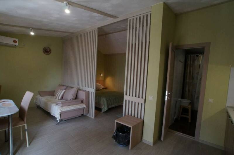 Студия с кухней 3-х местный