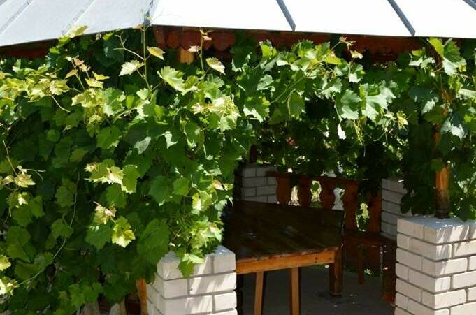 Однокомнатный 2-х местный «Стандарт»