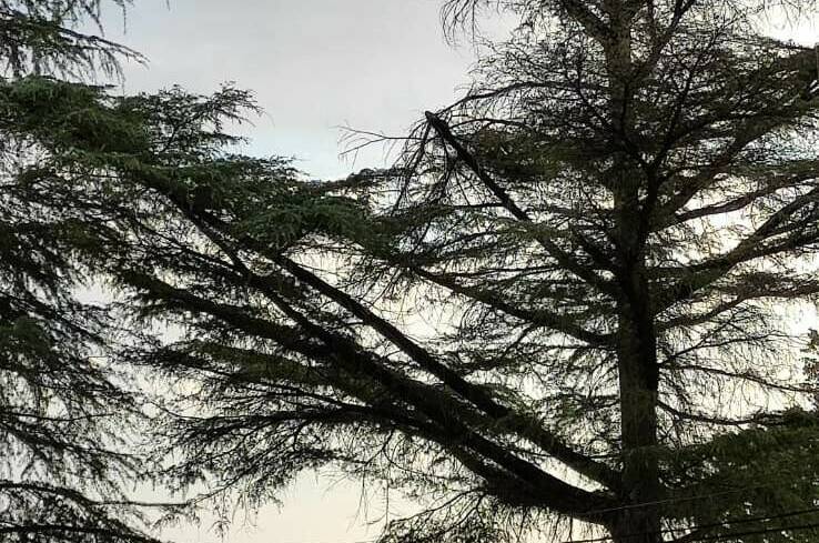 Двухместный номер с балконом