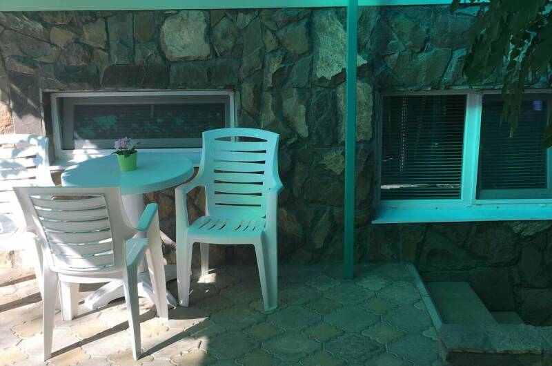 Рыбка дискус