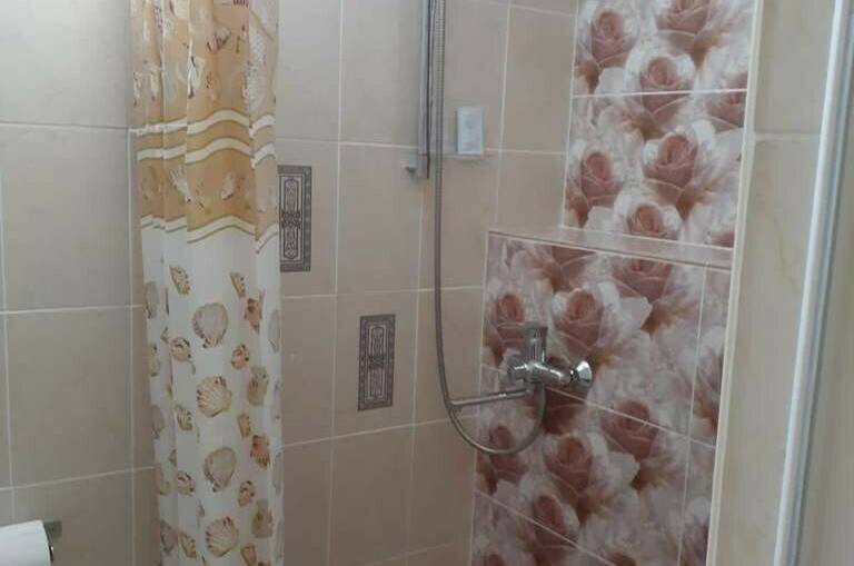 Рыбка дискус