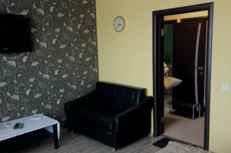 № 3 (коричнево-зелёный)